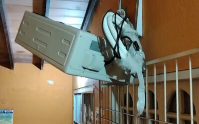 Hombre detenido tras intentar hurtar en Juzgado de Villa Elisa