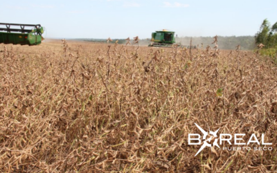 UGP presenta un balance positivo del 2025 y ve con optimismo el 2026