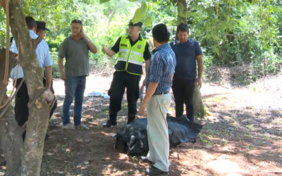 Mortal ataque de abejas en Luque: hombre falleció tras la picadura