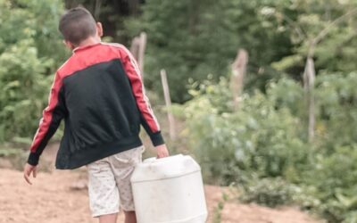 Más de 40 mil niños viven en situación de criadazgo en el país