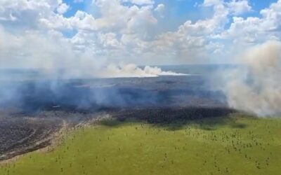 Reportan incendio de grandes proporciones en Chaco’i