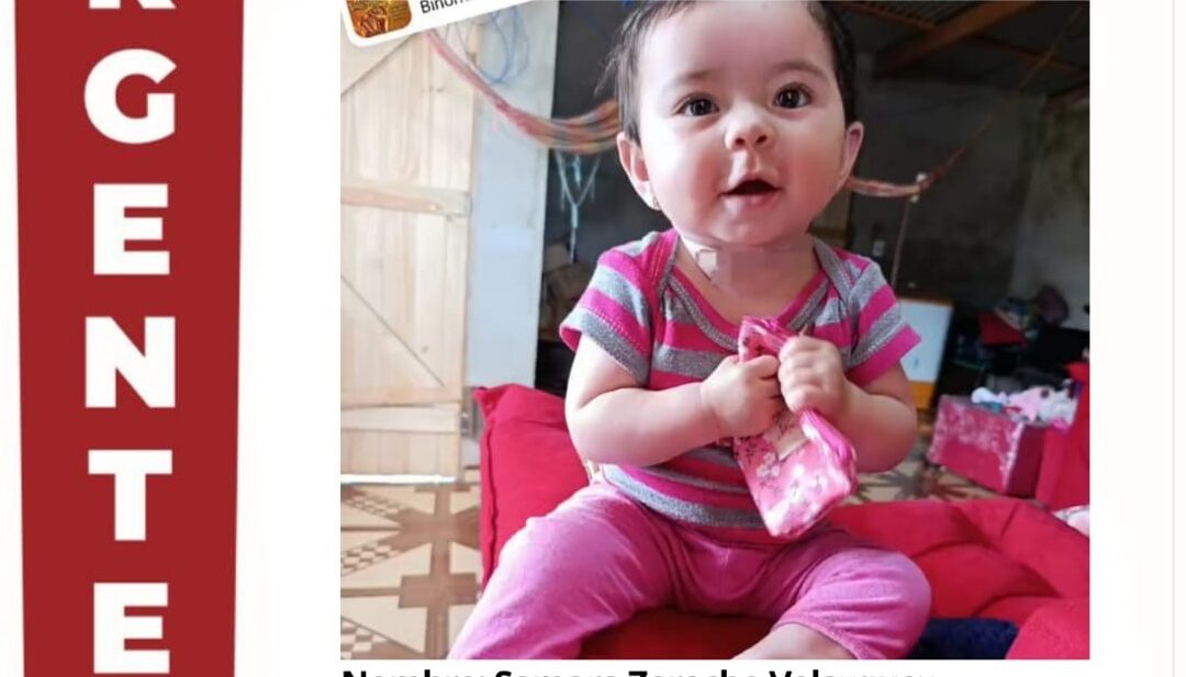 Activan protocolo de búsqueda tras desaparición de una beba de 11 meses