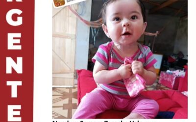 Activan protocolo de búsqueda tras desaparición de una beba de 11 meses