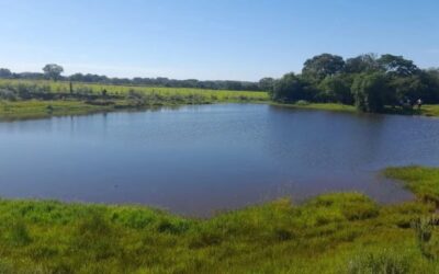 Reportan hallazgo de cadáver en un tajamar de Carmen del Paraná