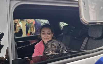 Final feliz: apareció Boro, el perro que desapareció tras choque de trenes en España