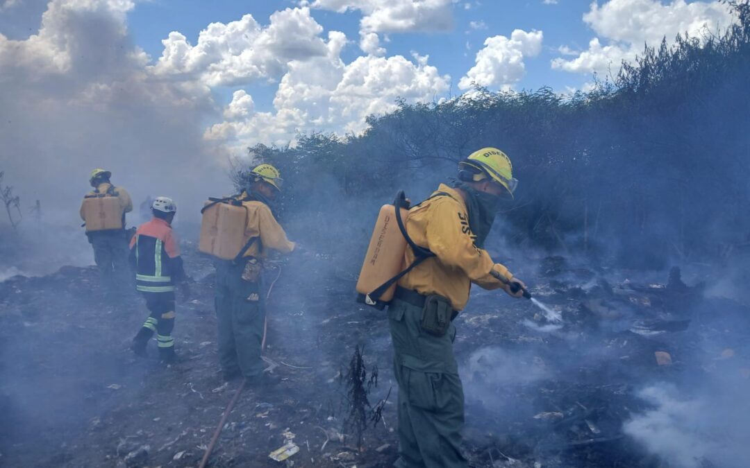 Tras intenso trabajo, bomberos logran controlar incendio en la Costanera Sur
