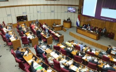 Senado posterga tratamiento de reforma de Caja Fiscal