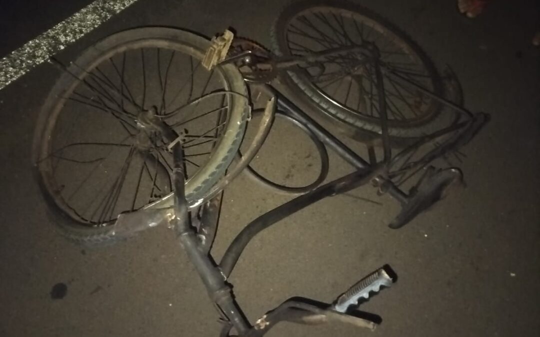 Hombre de 75 años muere atropellado en Nueva Germania