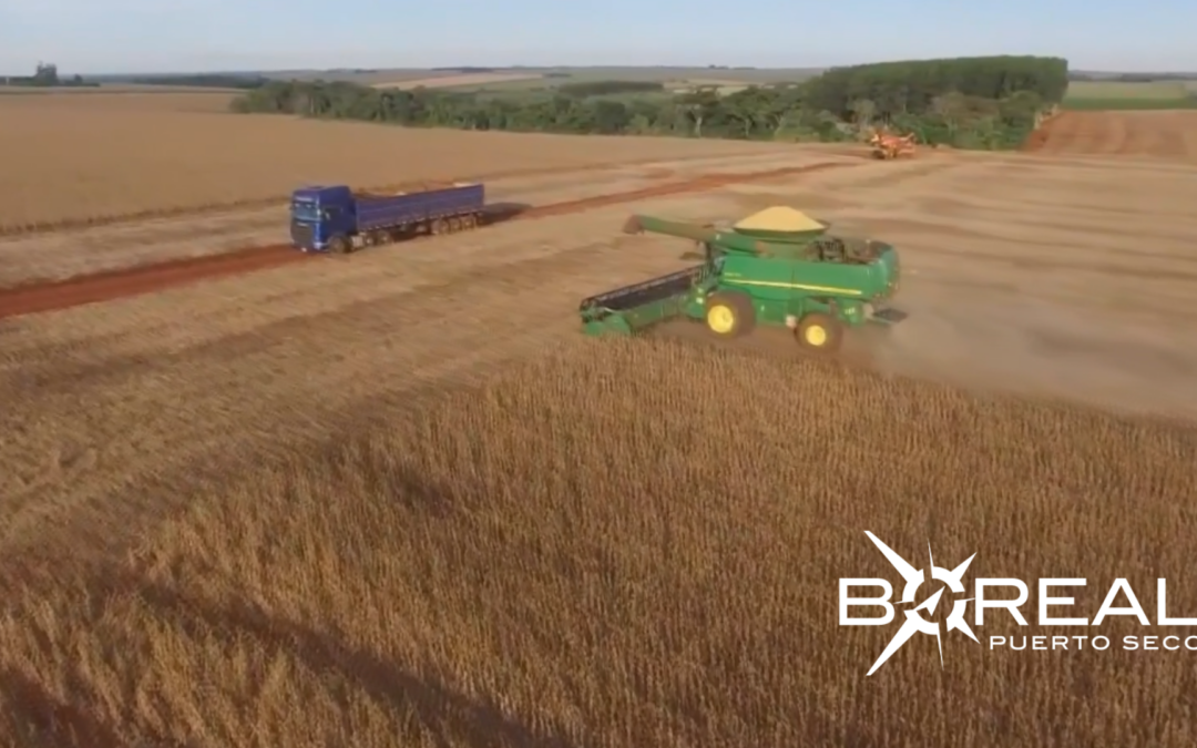 Fortalecen protección de suelo y agua: productores restauran nacientes
