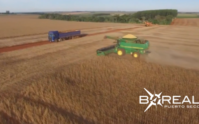 Fortalecen protección de suelo y agua: productores restauran nacientes
