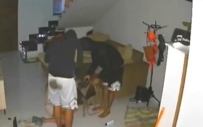 Delincuentes maniataron, golpearon y obligaron a su víctima a transferir dinero