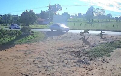 Menor de 13 años provocó accidente y resultó herido en Caaguazú