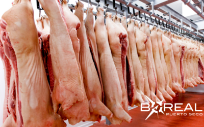 Exportación de carne porcina: Taiwán compró el 88% de la producción de febrero