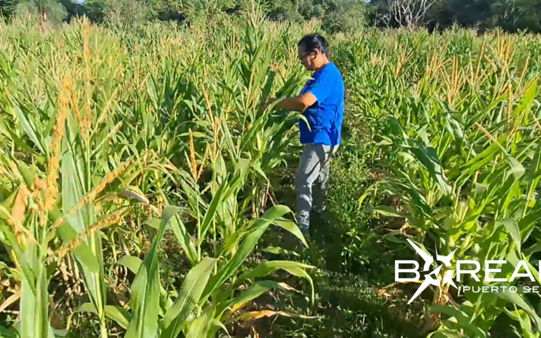 Mujer productora se destaca en San Pedro comercializando varios productos