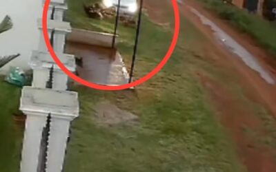 Detienen a hombre que atropelló a su pareja en J. Augusto Saldívar