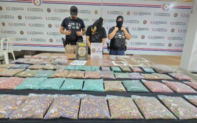 Incautan 50.000 dosis de éxtasis en operativo de la Senad