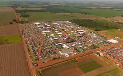 Con hitos exitosos, culminó la octava edición de la Feria Innovar en Alto Paraná