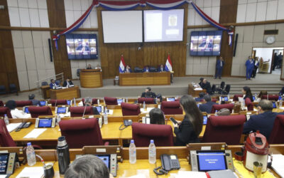 Diputados presentaron proyecto para reducir gastos: proponen recortes de pasajes, viáticos y otros