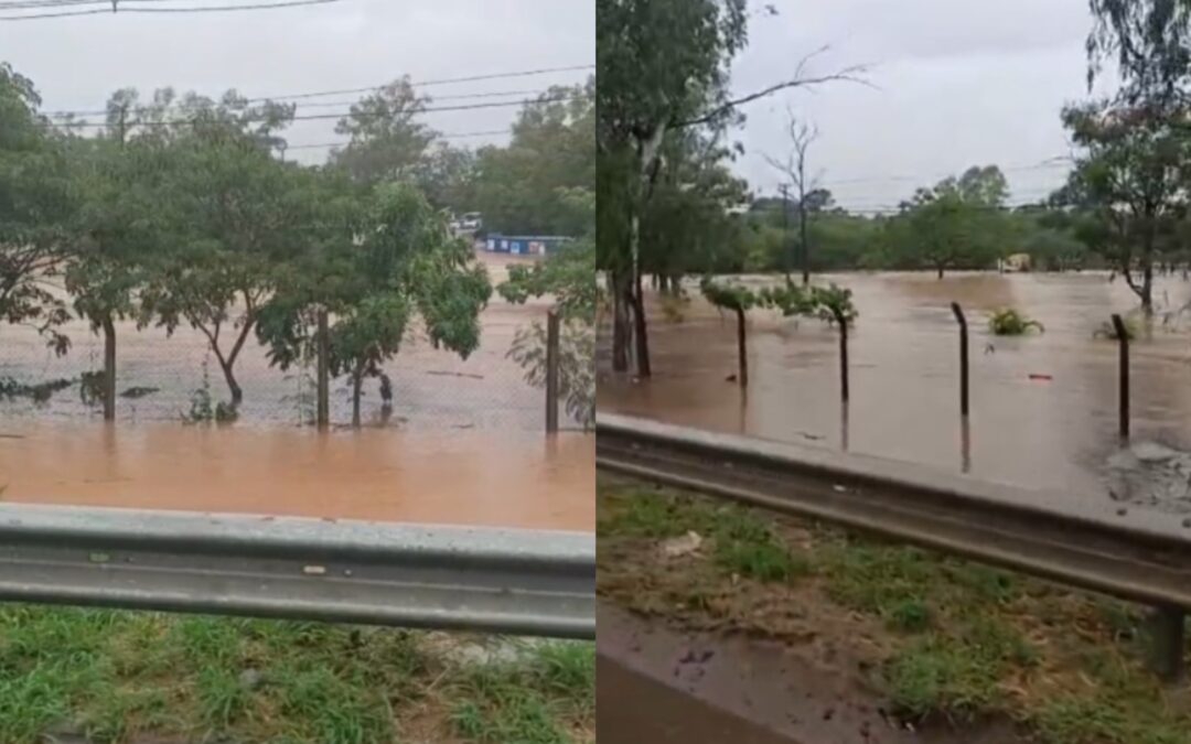 Parques Ñu Guasu y Guasu Metropolitano permanecerán cerrados
