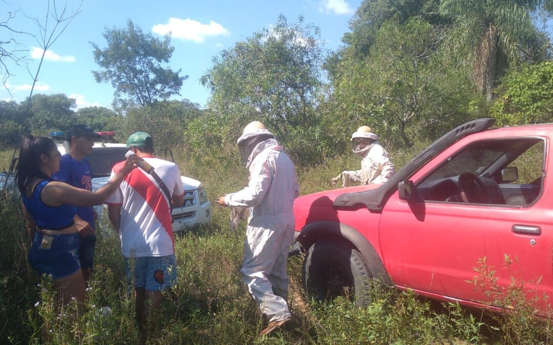 Hombre muere tras ser atacado por enjambre de abejas en Pilar