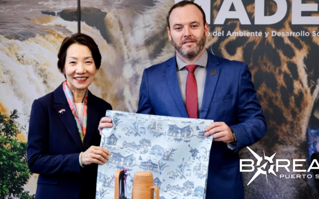 Paraguay y Singapur acuerdan una fuerte inversión en el mercado de carbono