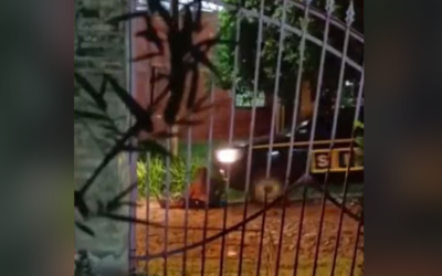 Hombre fue atropellado por una camioneta y el conductor denunció intento de robo