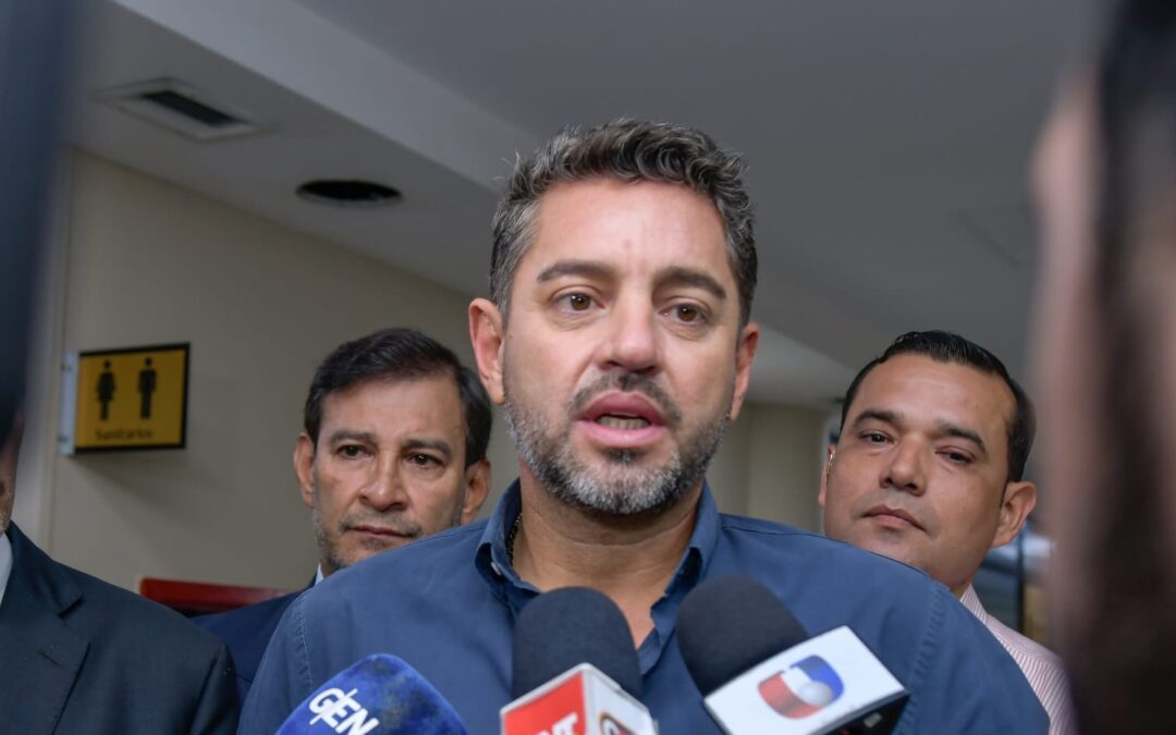 Alliana acepta precandidatura a presidencia: “Voy a abocarme a mi rol como vicepresidente”