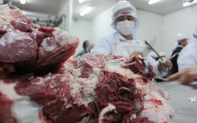 Peña anuncia apertura del mercado de Singapur para la carne paraguaya