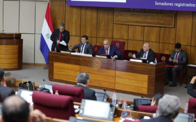 Cámara de Senadores rechazó la ley que penaliza el criadazgo