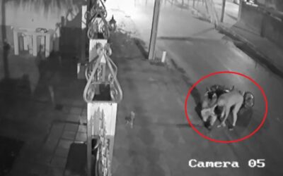 Mujer fue apuñalada durante violento asalto en Luque