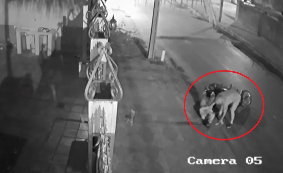 Mujer fue apuñalada durante violento asalto en Luque