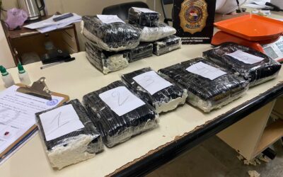 Incautan marihuana de alta potencia en encomienda proveniente de Portugal