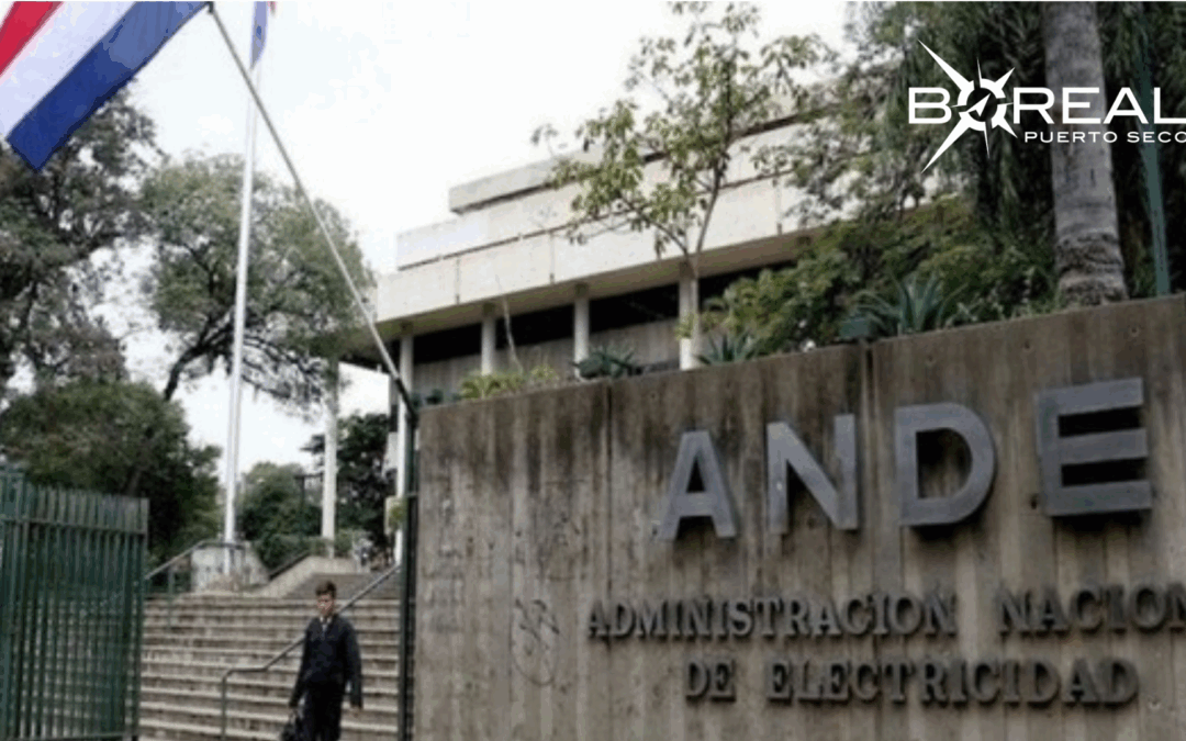 ANDE implementa asistente virtual “LUZ” para atender reclamos