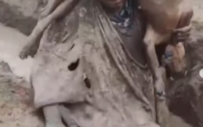 Denuncian crueldad animal en bautismo universitario en Coronel Oviedo
