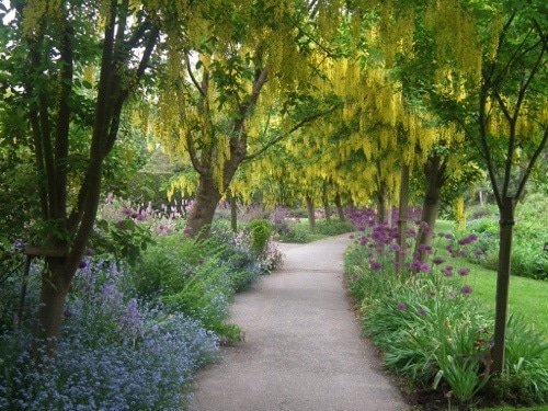 You see something different every day at VanDusen Botanical Garden