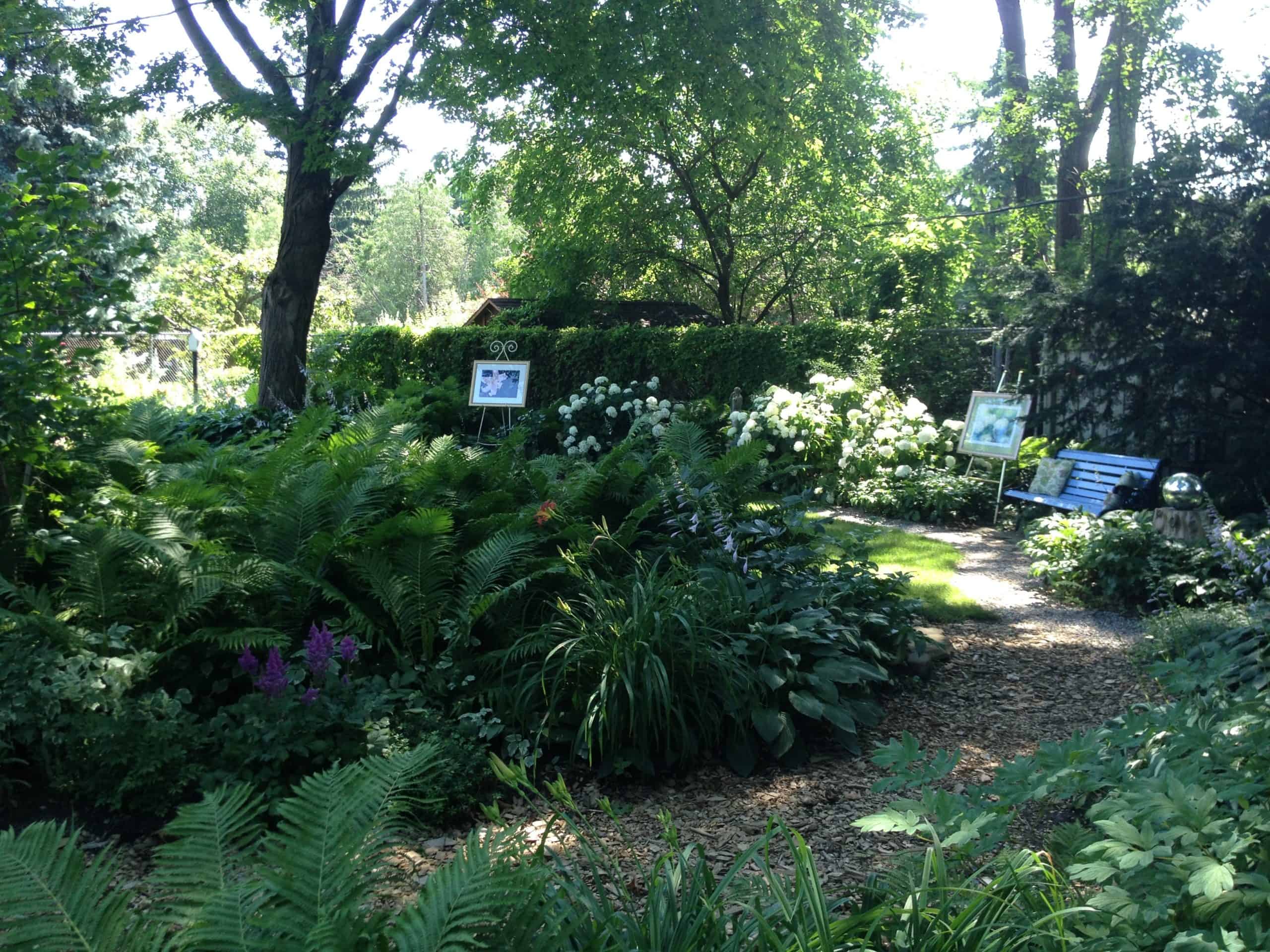 This garden's pathways were determined by the homeowners' dog's running path, and have ended up as wide curves throughout the garden. The result is quite natural, with the path taking you through the middle of the garden and out to the edges. It's a good strategy if you have a dog, because it means no arguiing about where they can run, and their paths may actually make perfect sense for your garden.