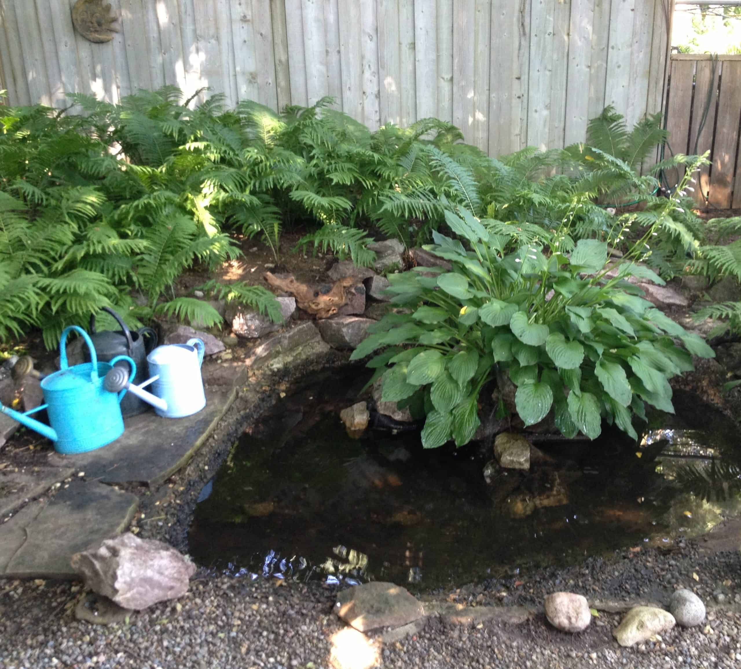 I liked this pond, with a hosta growing in the middle.