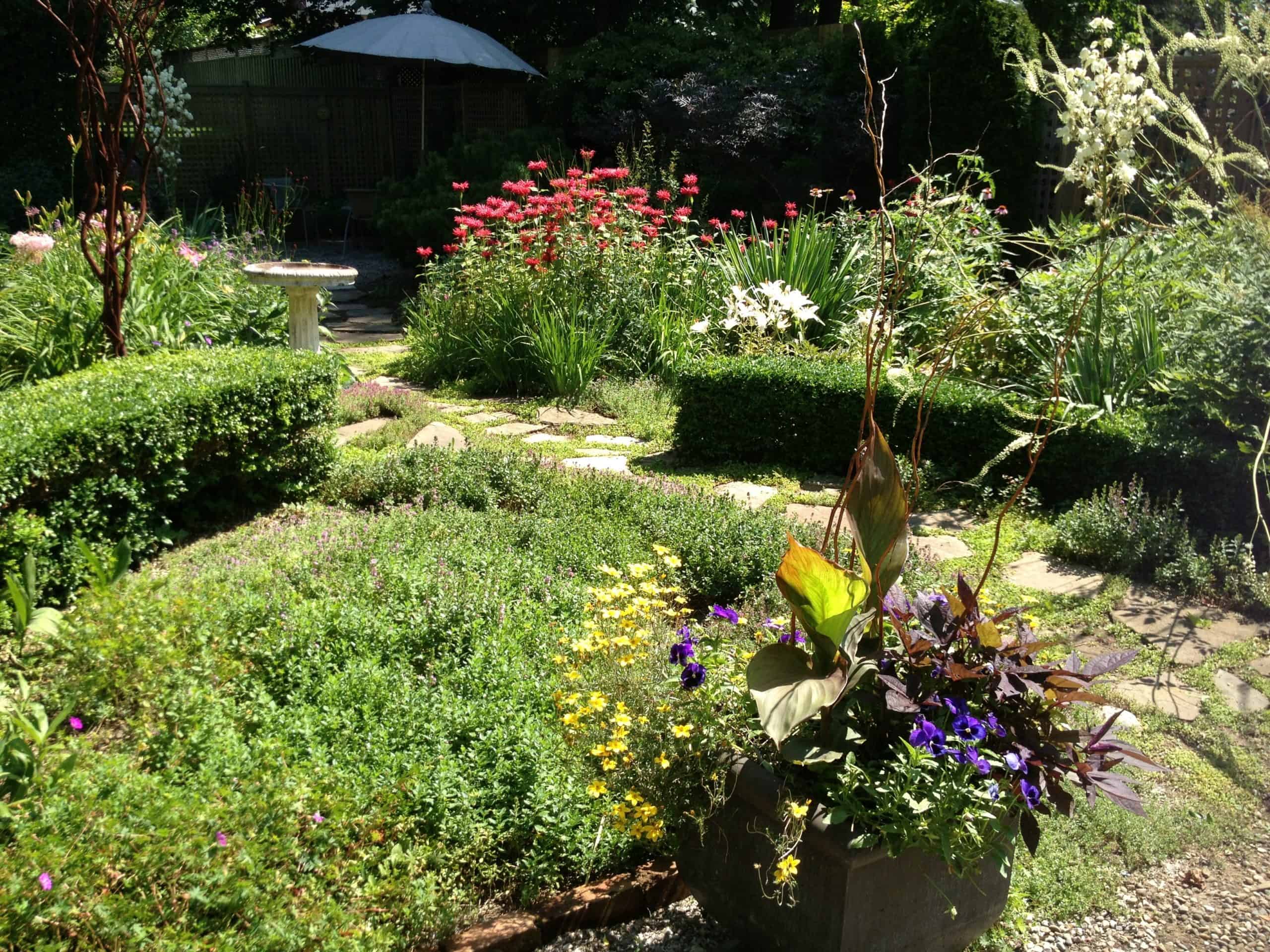 A formal hedge mixed surrounding groundover, and with a path leading further into the garden, caught my eye.