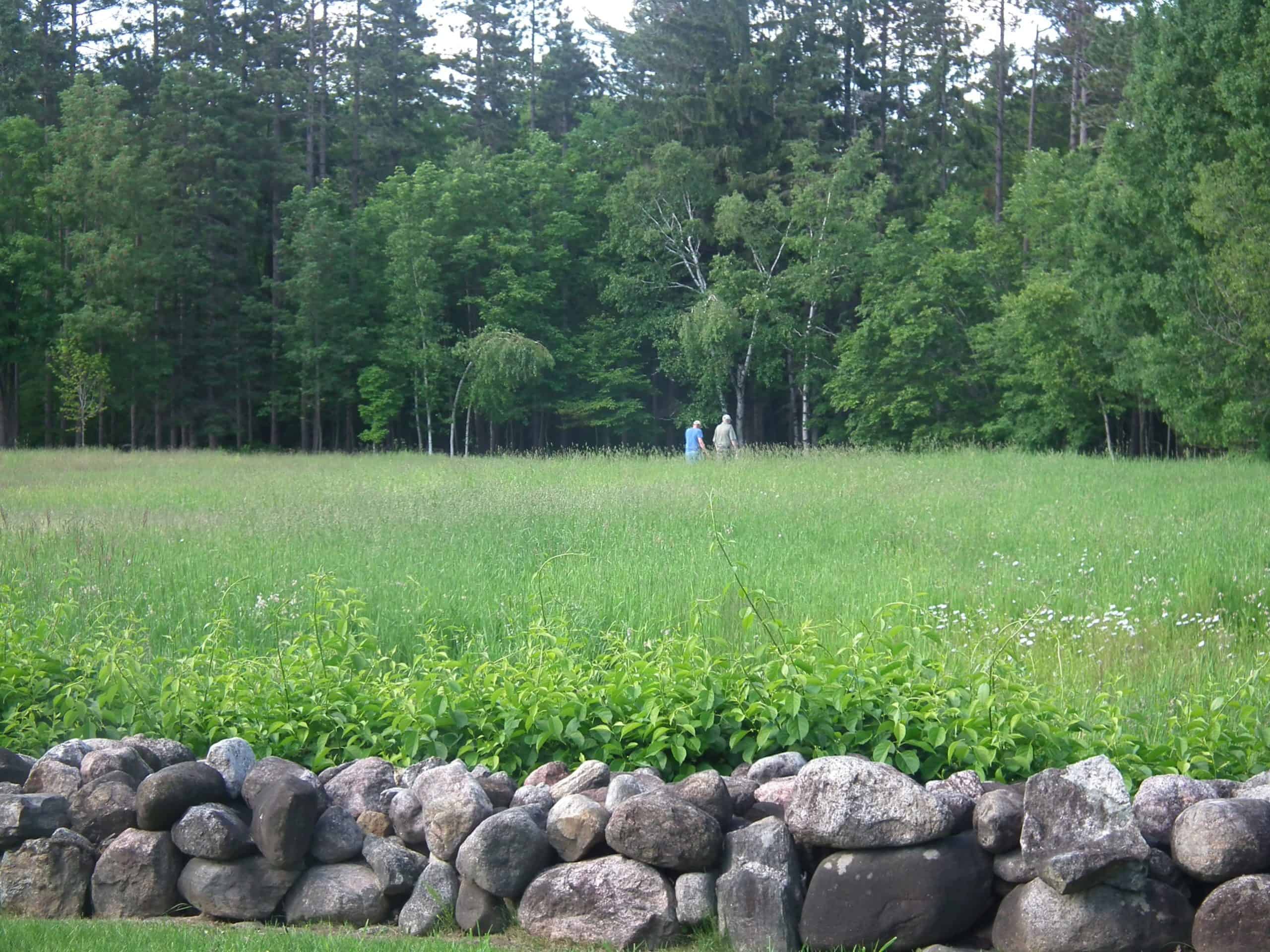 A view of the meadow from King's office.