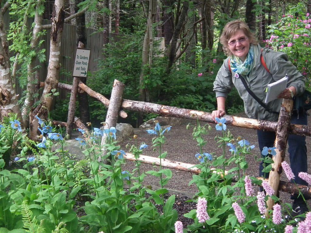 I was smitten by the blue poppies!