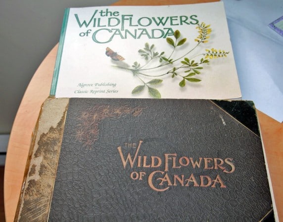 Two treasured editions of Wildflowers of Canada with colour plates. (Photo by Jodi DeLong)