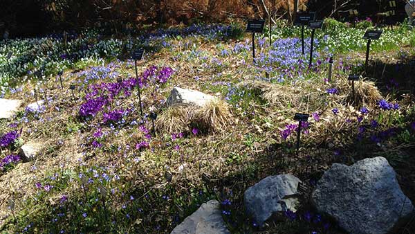 Good plant markers make it easy to appreciate what's in bloom.