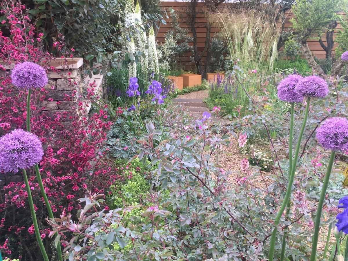 The M&G garden retreat lived up to its billing. Stunning plants, including Rosa glauca, and good use of vertical alliums and foxgloves for punctuation.