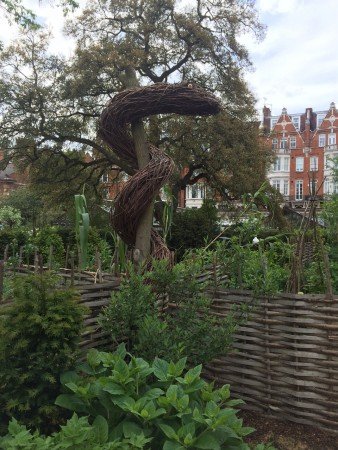 A twiggy serpent overlooks a section of the medicinal herbs in the Chelsea Physic Garden.