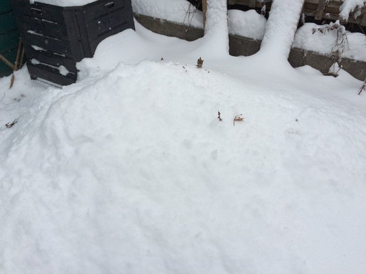 Asleep under the snow.