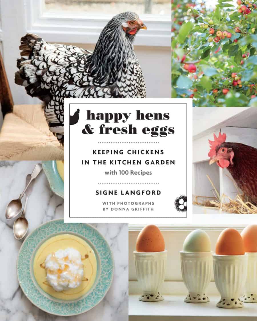 Happy Hens & Fresh Eggs