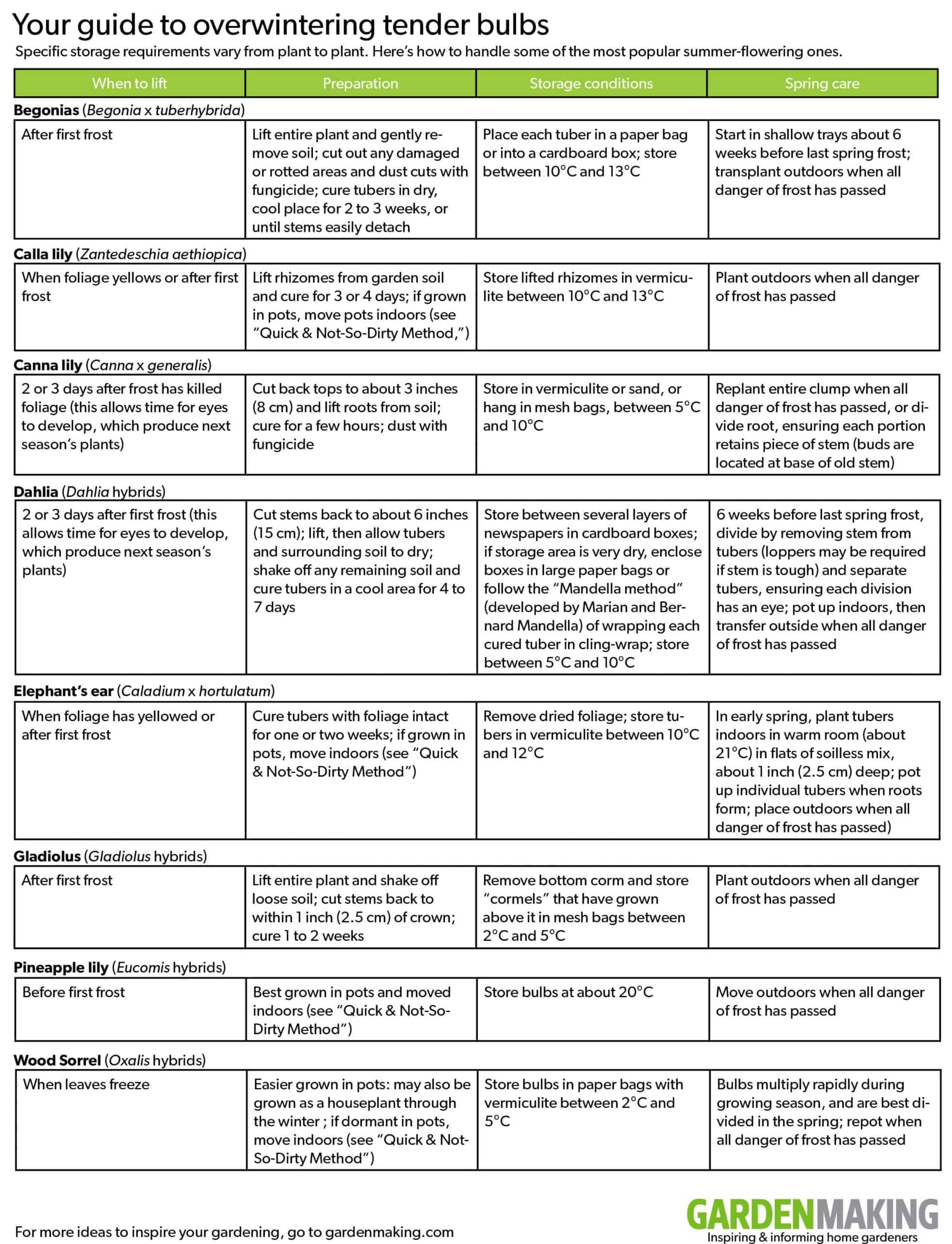 Garden Making guide to overwintering tender bulbs