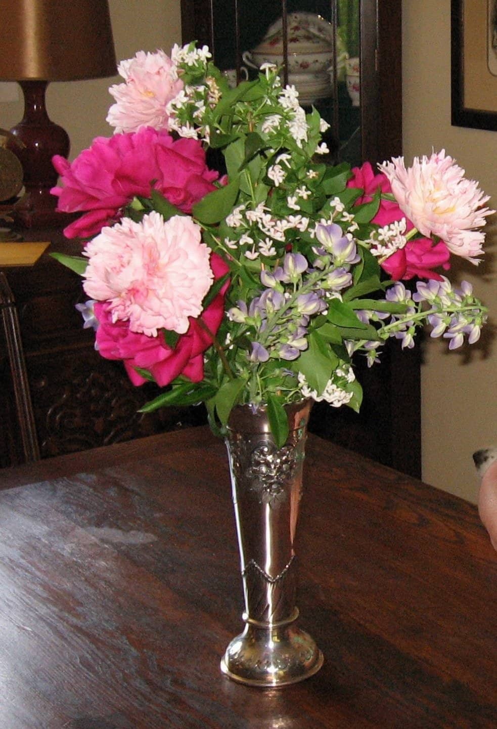 Peonies, ‘Starlite’ baptisia and Korean abelia