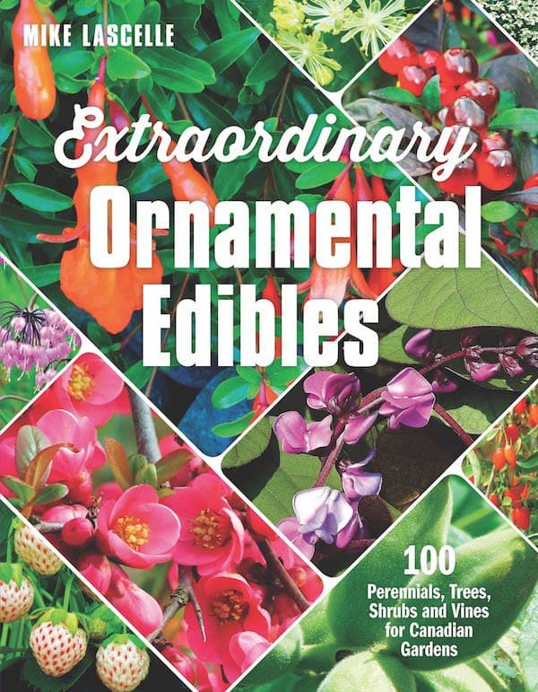 Extraordinary Ornamental Edibles