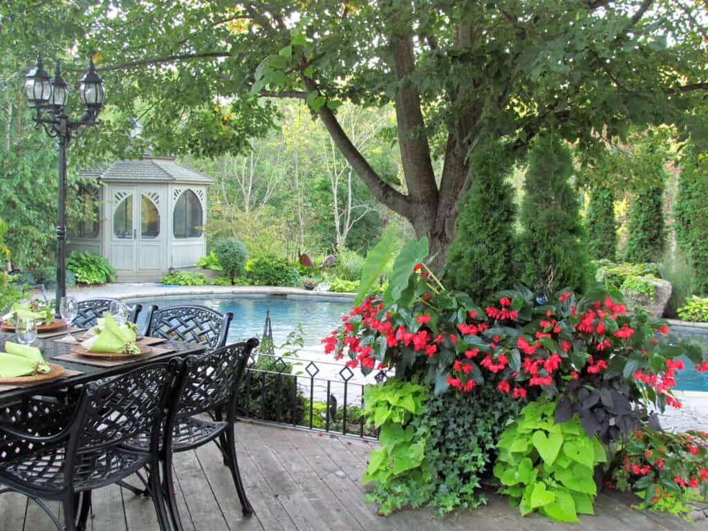 Where: King City, ON | When: Summer 2016 | What: Garden oasis. | Photo: Eleonora S.